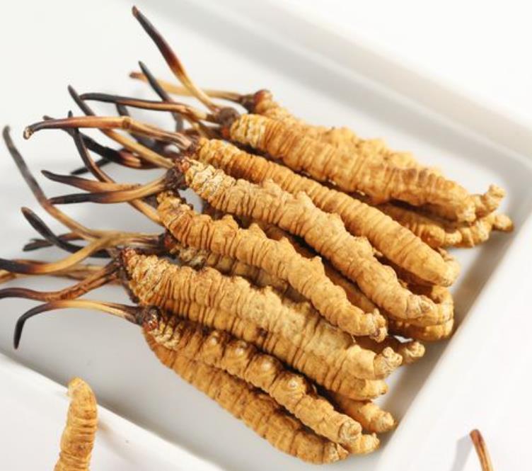 免费上门回收冬虫夏草商家