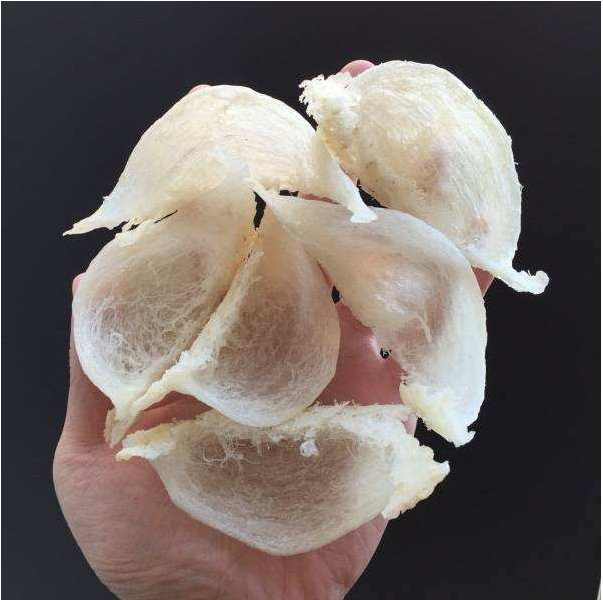 回收燕窝价格
