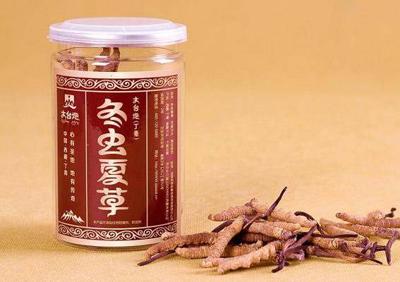 怎么保存冬虫夏草不会发霉?广州粤诚虫草商介绍