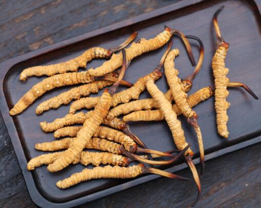 广州高价回收冬虫夏草 | 珠江新城上门鉴定，即时结算