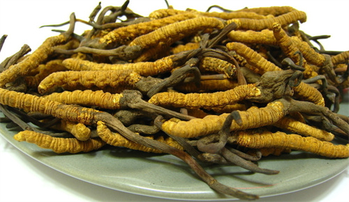 广州天河哪里回收冬虫夏草价格高？实体店就近上门，信誉保障