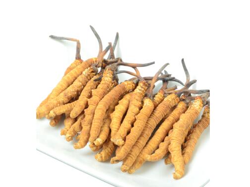 番禺区高价现金回收冬虫夏草 | 市桥/万博商圈上门服务